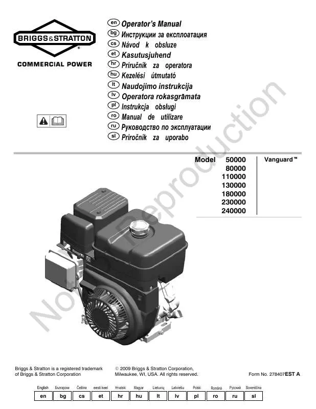 Mode d'emploi BRIGGS & STRATTON 115400