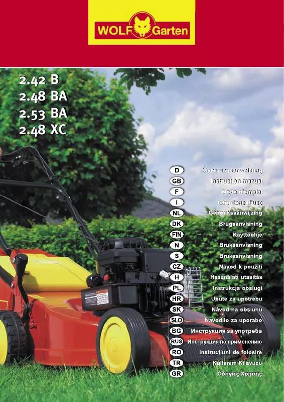 Mode d'emploi BRIGGS & STRATTON 2.53 BA